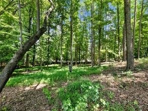 861 Bailey Woods Road Dacula, Georgia 30019
